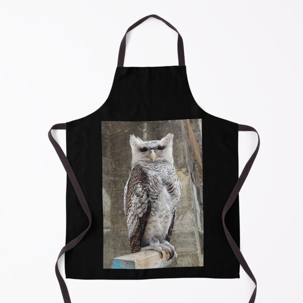 Item preview, The Staring Owly designed and sold by ColourfulDae.