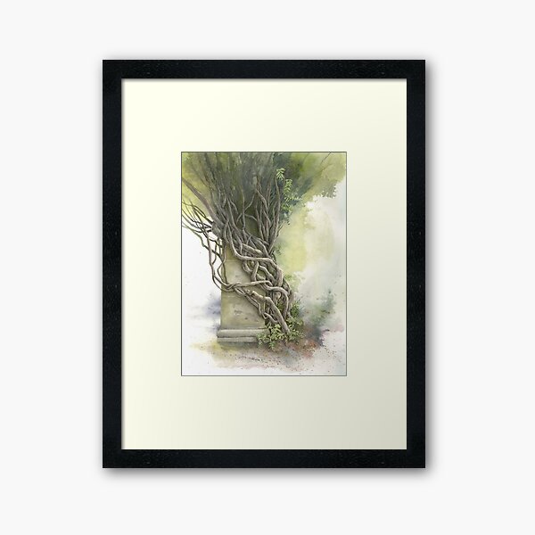 Biltmore Wisteria Framed Art Print