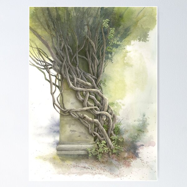 Biltmore Wisteria Poster
