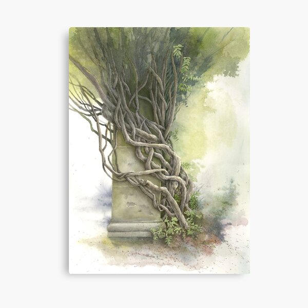 Biltmore Wisteria Canvas Print