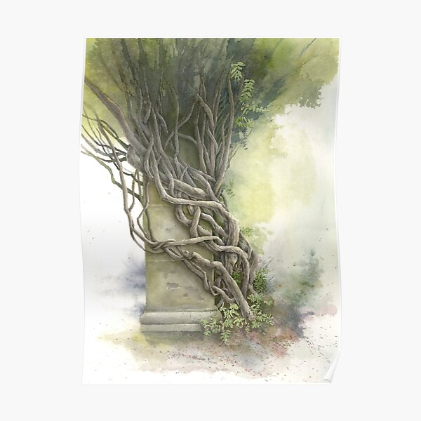 Biltmore Wisteria Poster