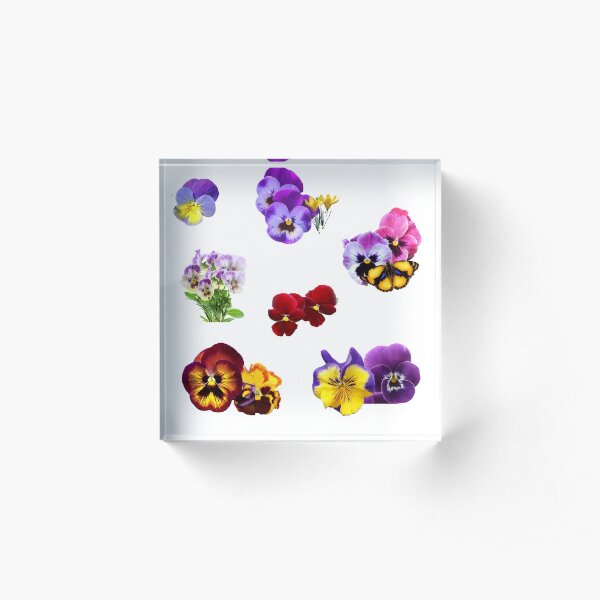 Colorful Pansies Garden Collage with Butterfly Acrylic Block