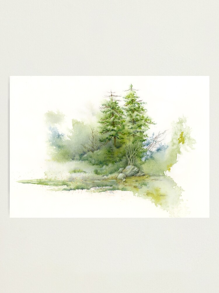 Thumbnail 1 of 3, Photographic Print, Pine Glade Study designed and sold by mindofwaterc.