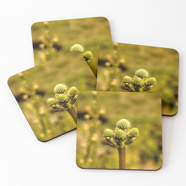 Item preview, llb blue clover designed and sold by pcfyi.