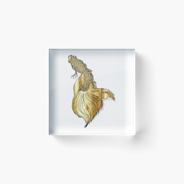 Item preview, Gold Tropical Zebrafish designed and sold by sasijaya.