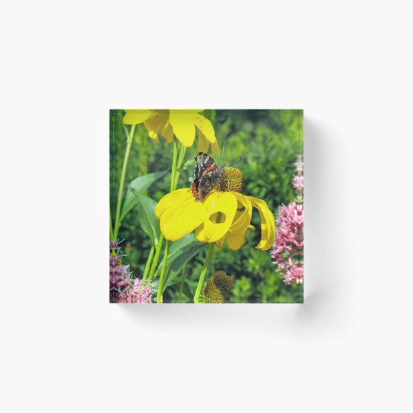 Item preview, Red Admiral Butterfly on a yellow flower  designed and sold by Joanne Wall.