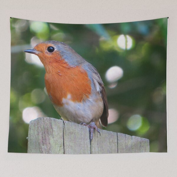 Item preview, Robin Redbreast sitting on a fence designed and sold by PPFImages.