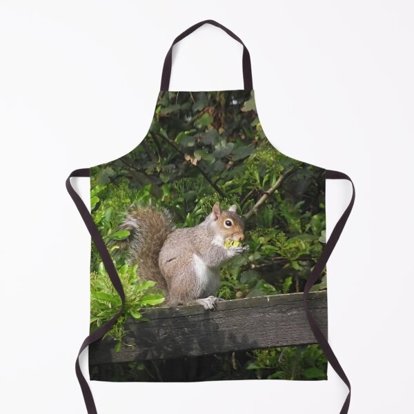 Item preview, Squirel on a fence eating a nut designed and sold by PPFImages.
