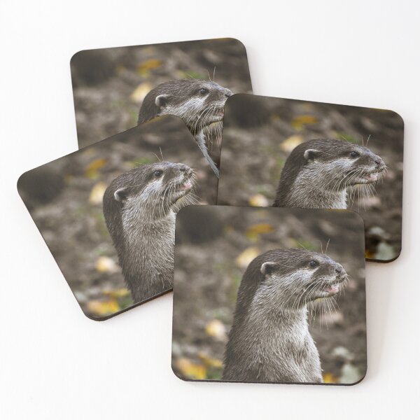 Item preview, Cute standing otter designed and sold by cdkphotos.
