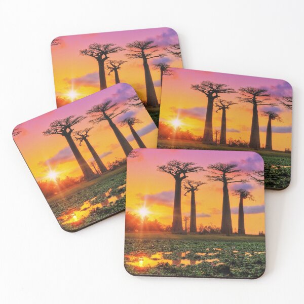 Item preview, Avenue of the Baobabs, Madagascar designed and sold by scenerymerch.