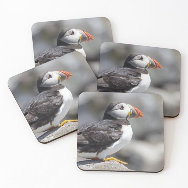 Item preview, Regal Puffin Surveying its Kingdom designed and sold by rosiebeeston.