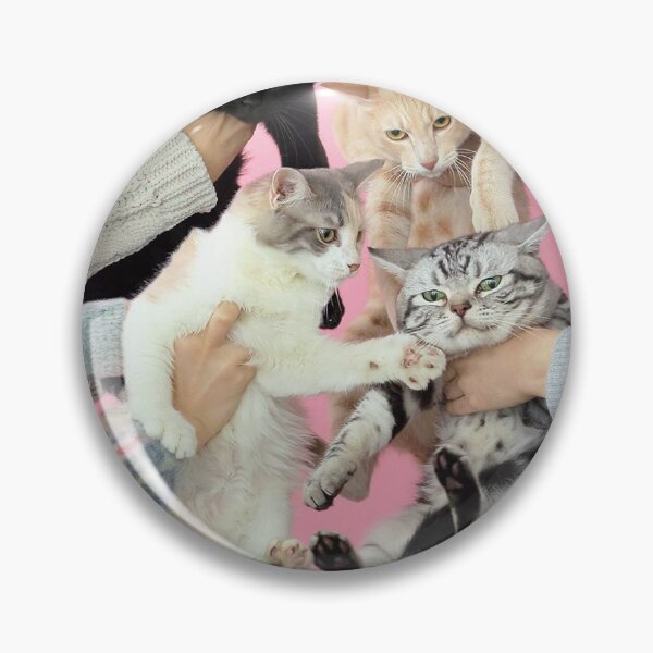 Item preview, Kinoko Teikoku - Neko to Allergie designed and sold by JapaneseMusic.