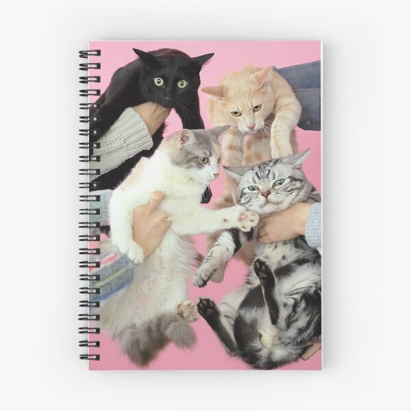 Item preview, Kinoko Teikoku - Neko to Allergie designed and sold by JapaneseMusic.