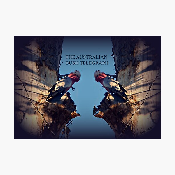 Item preview, AUSTRALIAN BUSH TELEGRAPH designed and sold by DMEIERS.