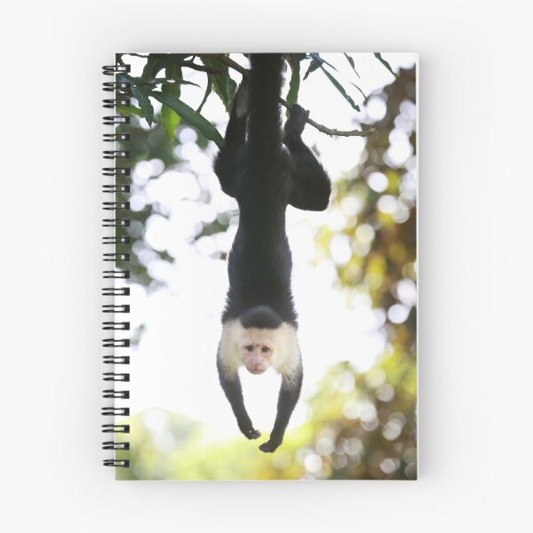 Item preview, Capuchin Monkey Hanging designed and sold by mlorenz.