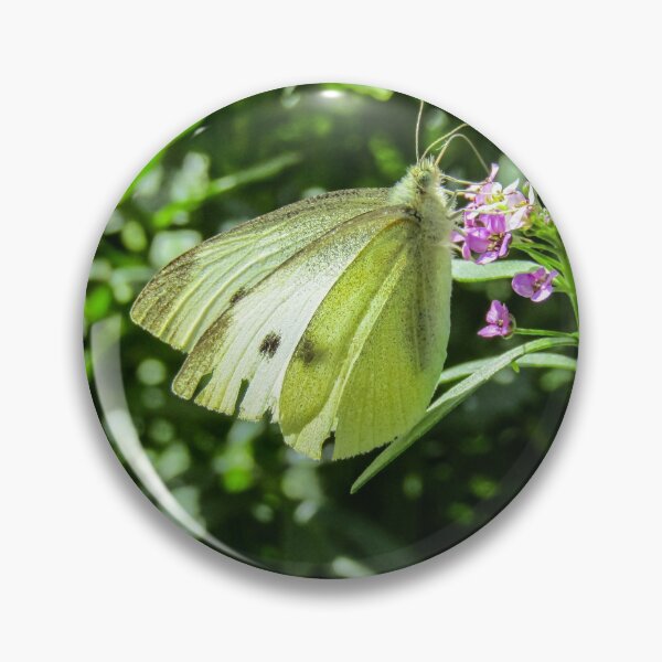 Item preview, Cabbage White Butterfly on a flower  designed and sold by Joanne Wall.
