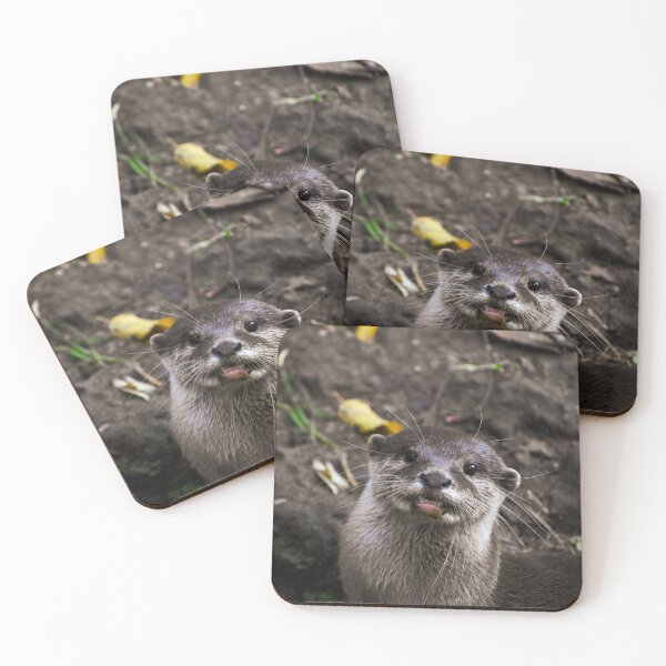 Item preview, Cute otter portrait designed and sold by cdkphotos.