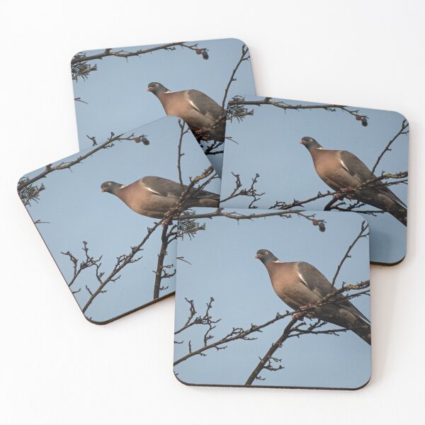 Item preview, Wood Pigeon Above designed and sold by GingerMan2550.