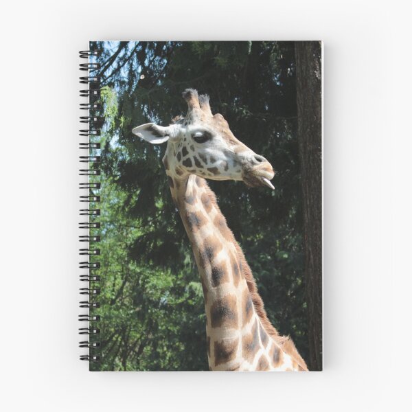 Aperçu de l'œuvre Girafe stupide créée et vendue par BleachedJam.