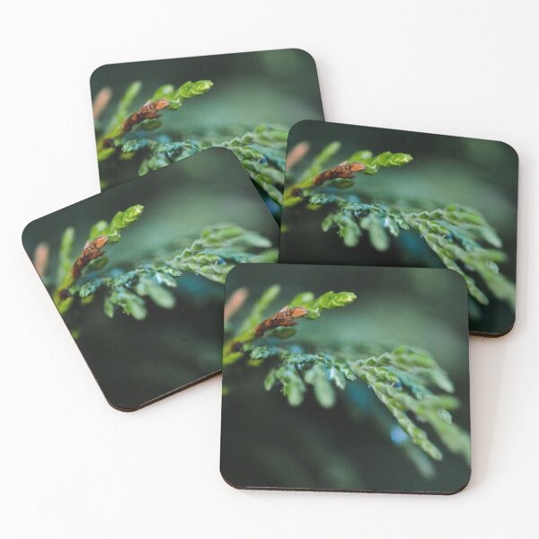 Item preview, Evening Conifer designed and sold by MadeByKatieUK.