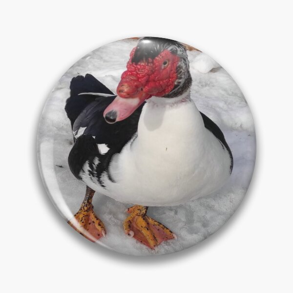 Item preview, Duck designed and sold by Green Star Shop.