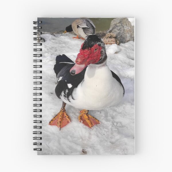 Item preview, Duck designed and sold by Green Star Shop.