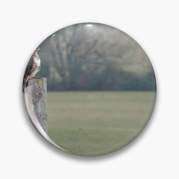 Item preview, Buzzard on a post designed and sold by frogs123.