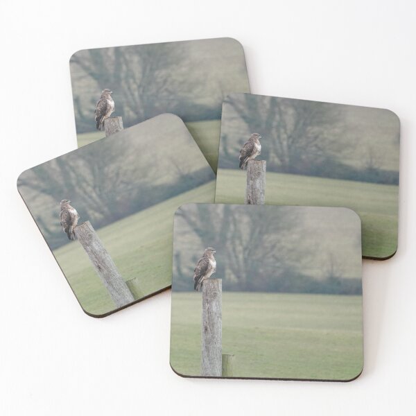 Item preview, Buzzard on a post designed and sold by frogs123.