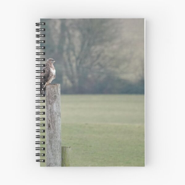Item preview, Buzzard on a post designed and sold by frogs123.