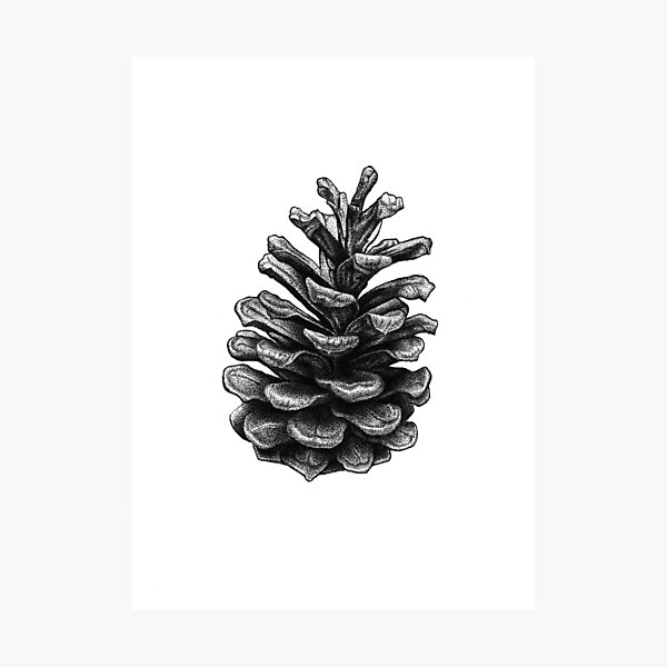Item preview, Cone designed and sold by nikita-sativa.