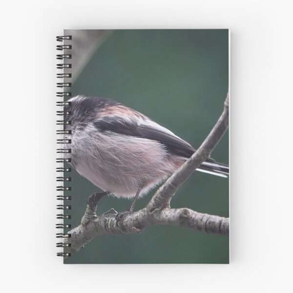 Item preview, Long tailed tit designed and sold by frogs123.
