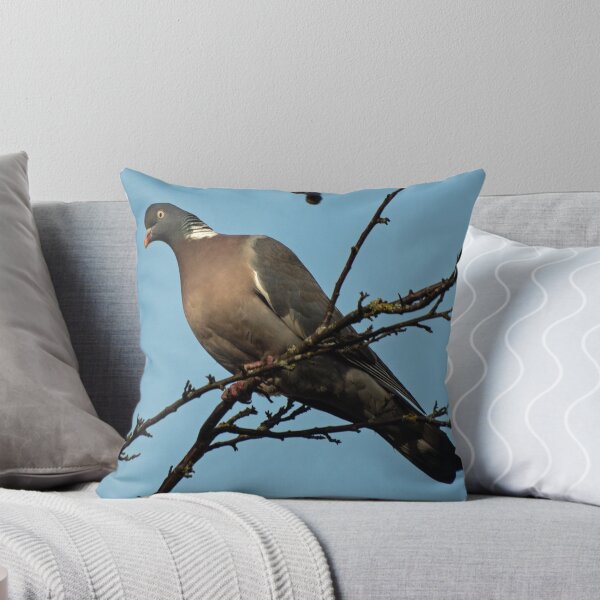 Item preview, Wood Pigeon Watching designed and sold by GingerMan2550.