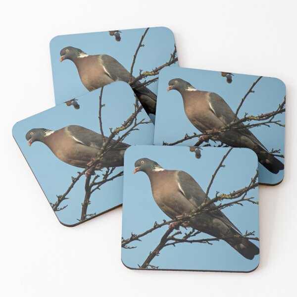 Item preview, Wood Pigeon Watching designed and sold by GingerMan2550.