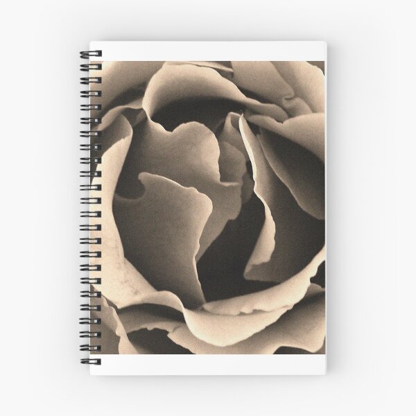 Item preview, Sepia Rose designed and sold by Maggie Hegarty.