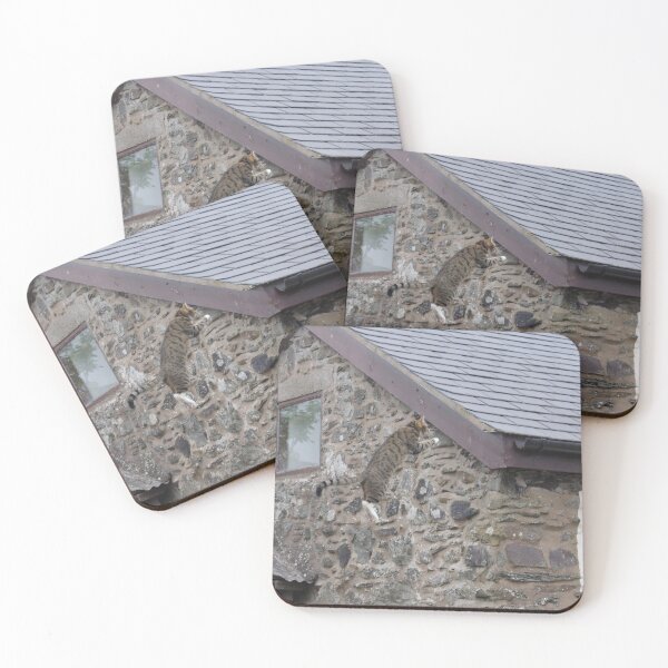 Item preview, Up on the roof designed and sold by turniptowers.