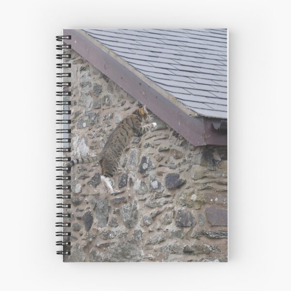 Item preview, Up on the roof designed and sold by turniptowers.