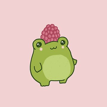 Pastel Raspberry Frog: Cute and Chubby Kawaii Cottagecore Aesthetic for  Hipster Kidcore Fans Throw Blanket for Sale by MinistryOfFrogs