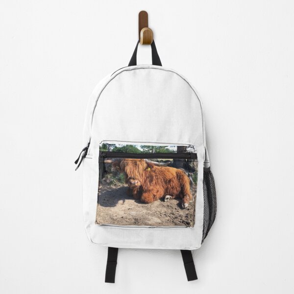Item preview, Scottish Highland Cattle Bull 2433 designed and sold by SaarelaHighland.