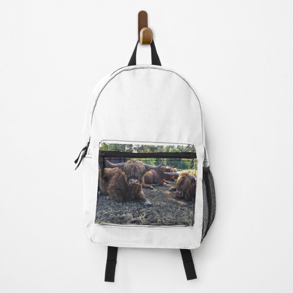 Item preview, Scottish Highland Cattle Bulls 2434 designed and sold by SaarelaHighland.