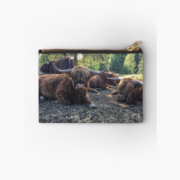 Item preview, Scottish Highland Cattle Bulls 2434 designed and sold by SaarelaHighland.