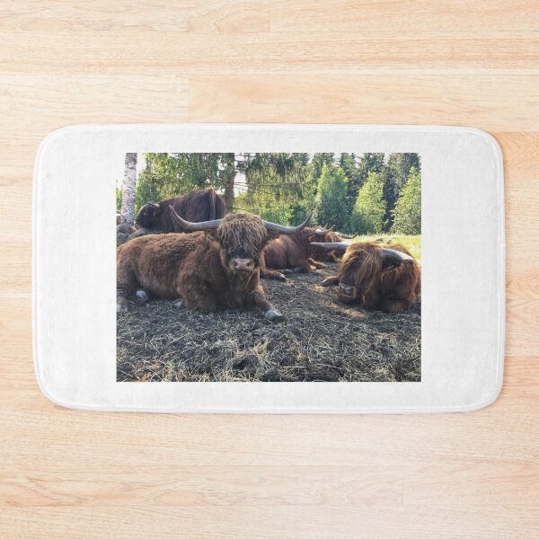 Item preview, Scottish Highland Cattle Bulls 2434 designed and sold by SaarelaHighland.