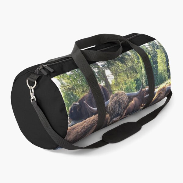 Item preview, Scottish Highland Cattle Bulls 2434 designed and sold by SaarelaHighland.
