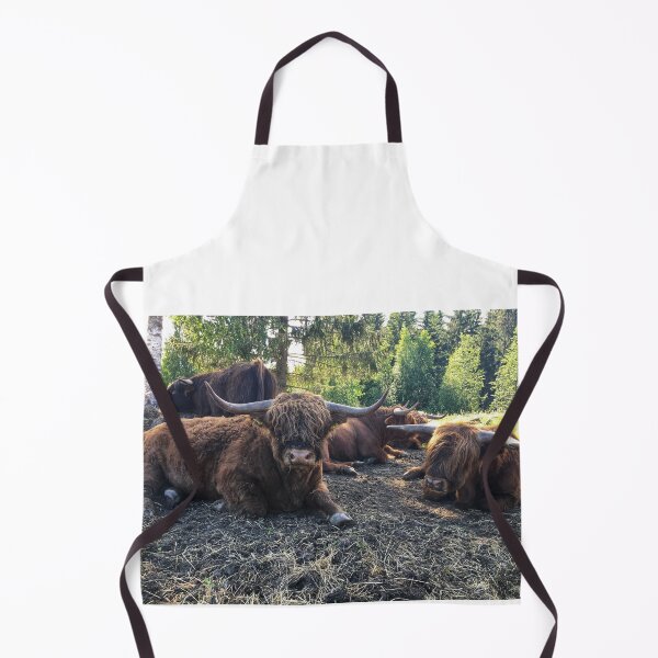 Item preview, Scottish Highland Cattle Bulls 2434 designed and sold by SaarelaHighland.