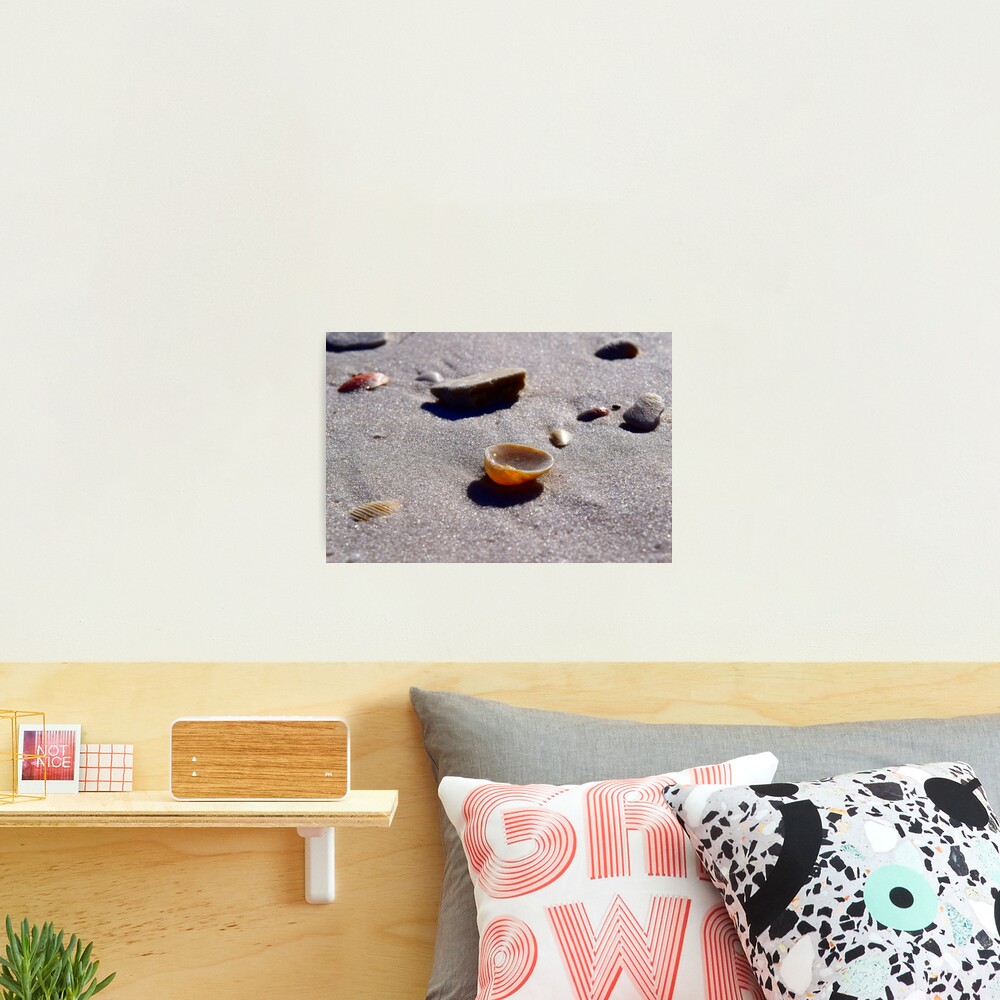 Ocean's Teacup Photographic Print