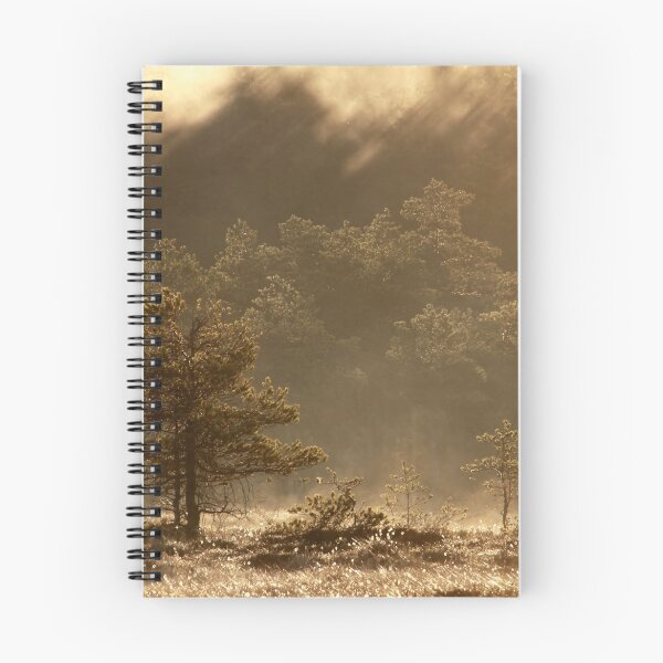 Item preview, 6.5.2016: Pine Trees, Spring Morning II designed and sold by Petri Volanen.