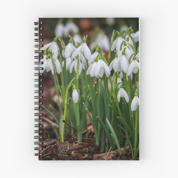 Item preview, Snowdrops designed and sold by Rosie Simpson.