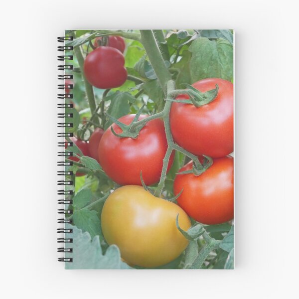 Item preview, Red and yellow tomato fruits designed and sold by qiiip.