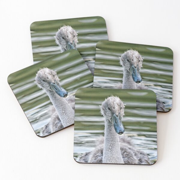 Item preview, Cygnet designed and sold by Jellycandy.
