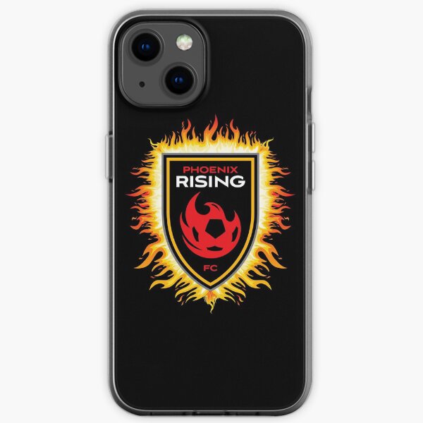 rise of the phoenix shield rise of the phoenix shield
