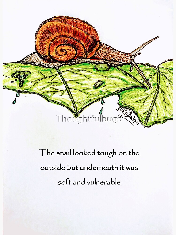 Tough shell by Thoughtfulbugs
